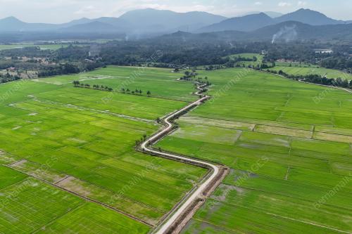 PESAWAH