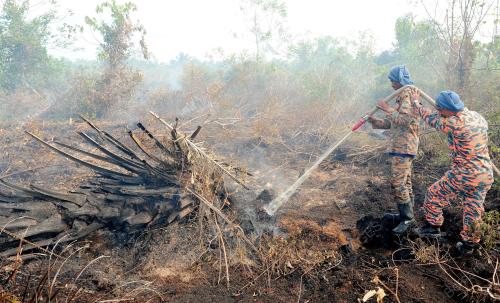 TR05_08032015_HUTAN_TERBAKAR