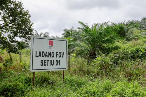 TERENGGANU_FGV