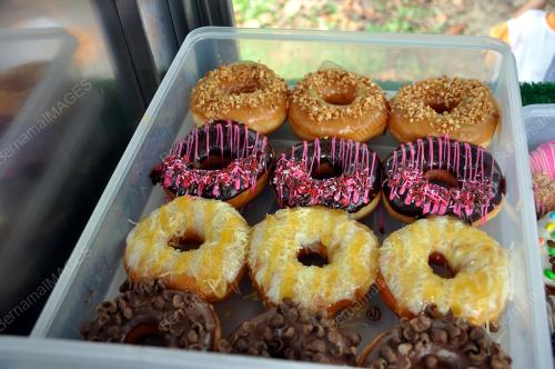 DONUT VIRAL