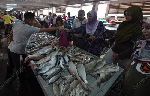 TR05_10052019_PASAR_IKAN_BN201808055000