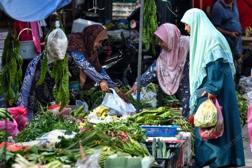 TINJAUAN_SAYUR