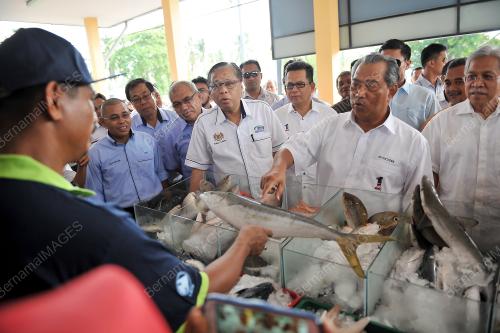 TR05_12062014_NELAYAN