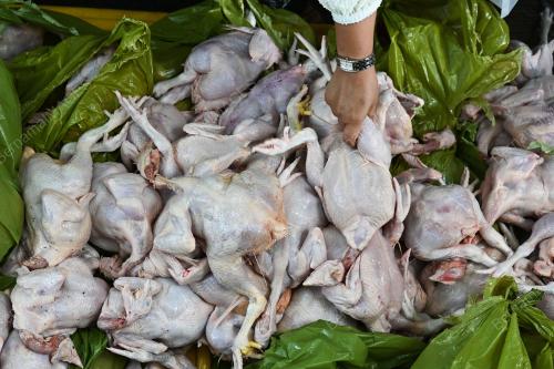 BARANGAN ASAS SIFAR CUKAI JUALAN