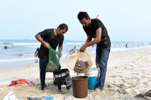 TR05_13112019_KERANG_TERDAMPAR