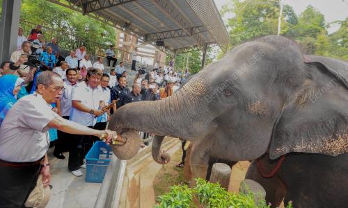 TR05_14022016_MOU_GAJAH