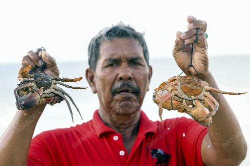 NELAYAN MENCARI PENDAPATAN TAMBAHAN