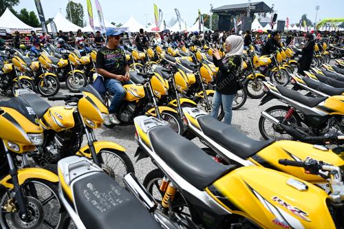 RXZ MEMBERS 6.0