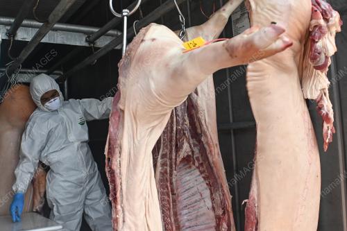 RAMPASAN DAGING BABI