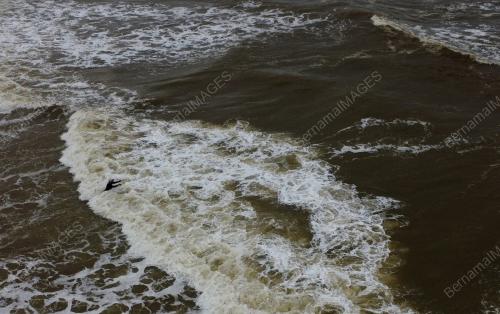 LAUT BERGELORA