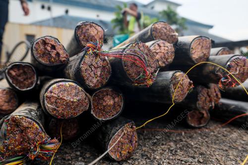 CURI KABEL