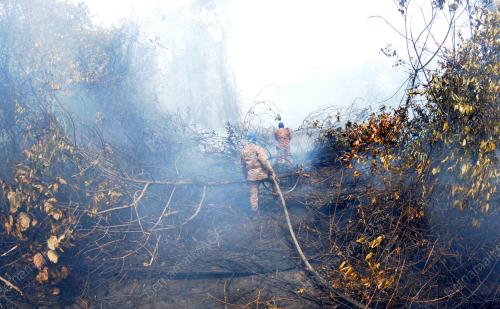 TR05_16022014_HUTAN_TERBAKAR
