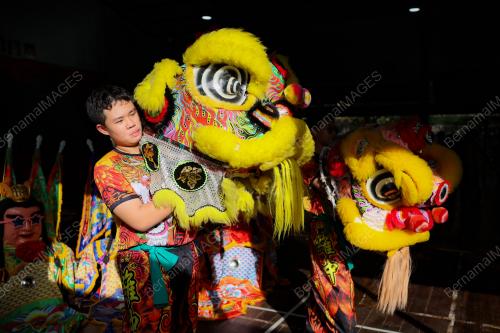 TARIAN SINGA