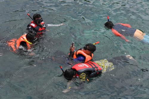 PULAU BIDONG
