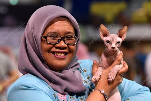 TR05_20072019_KUCING_BN201907175469