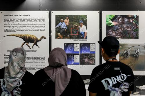 PAMERAN ALAM HAIWAN