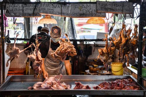 BEKALAN AYAM KURANG