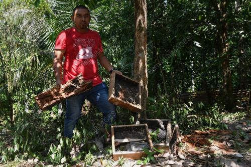TR05_23072019_BERUANG_MATAHARI_BN201907235950-01