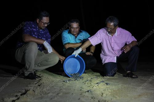 PROGRAM CAKNA PENYU 2023