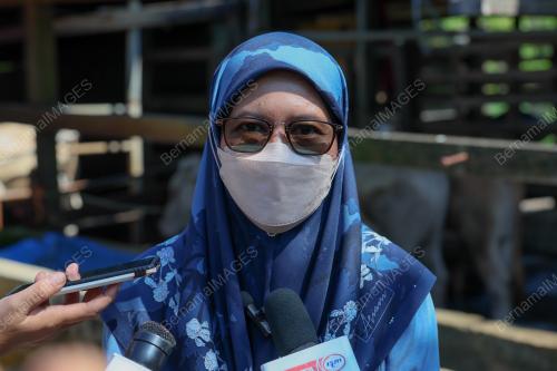 DR ANUN MAN