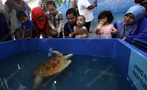 TR05_27102018_PENYU_ALBINO_BN201808055000