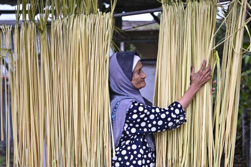 DAUN NIPAH