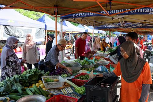 JUALAN AGRO MADANI