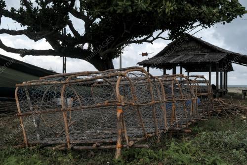 PEMBUAT BUBU IKAN KIJAL