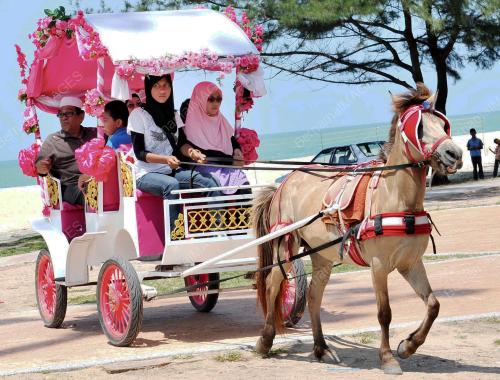 TR05_30052012_KERETA_KUDA