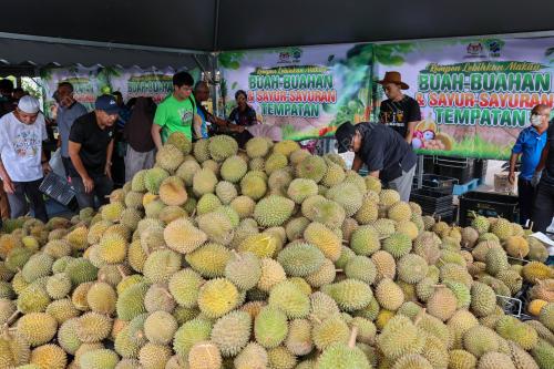 DURIAN FAMA