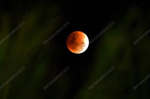 TR05_31012018_MOON_BN201801307563
