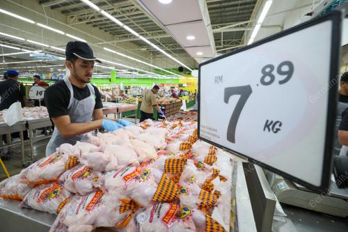 HARGA AYAM