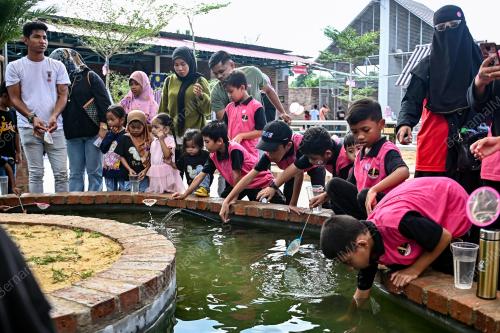 ZOO RIMBA RAZIA