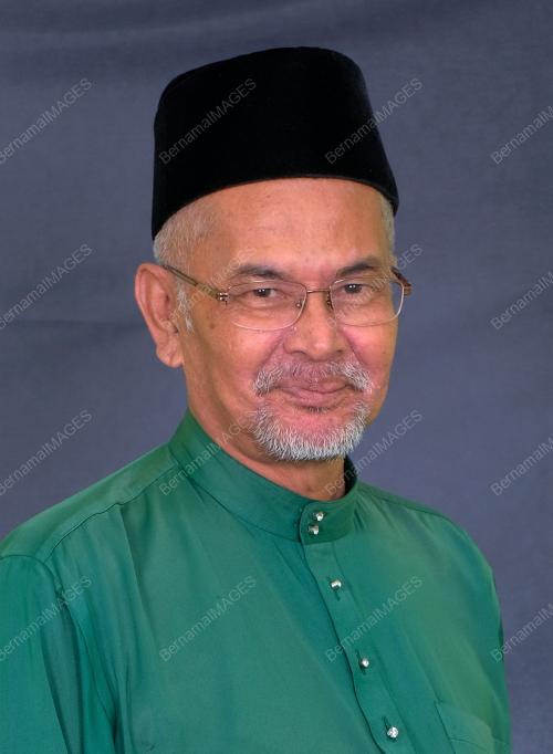 WAN HASSAN MOHD RAMLI