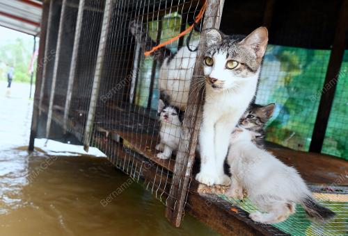 TR06_05012018_BANJIR