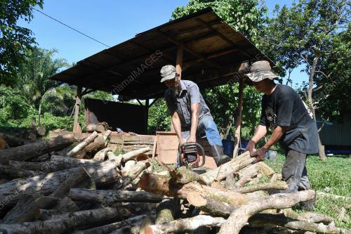 ARANG KAYU