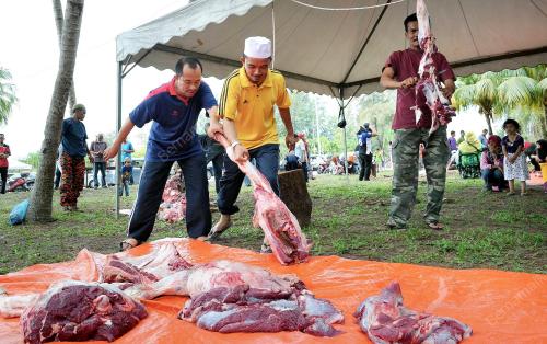 TR06_05102014_DAGING_QURBAN