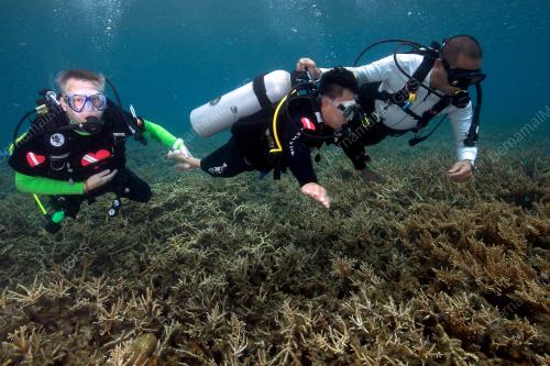 TR06_05112018_DIVE_HEART_BN201810080231