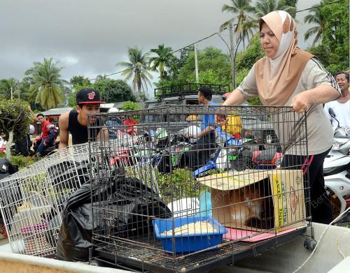 TR06_05122013_BANJIR_KEMAMAN