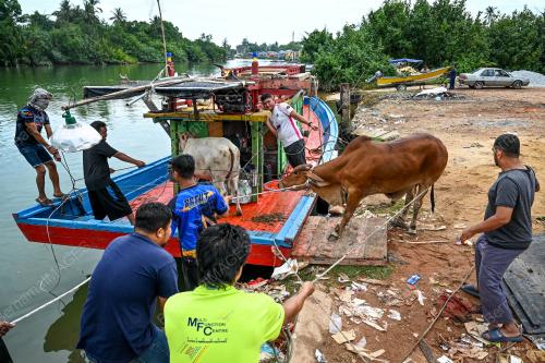 LEMBU_BOT