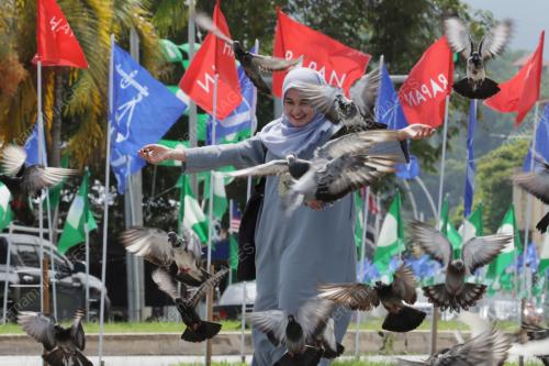 PILIHAN RAYA UMUM KE-15