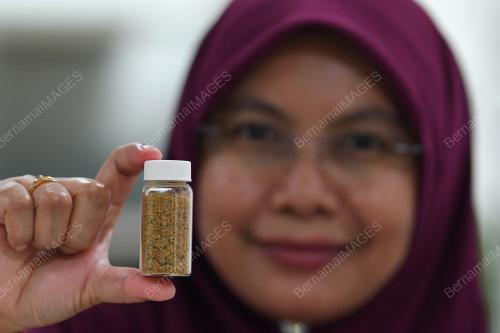 PROF MADYA DR WAN IRYANI WAN ISMAIL