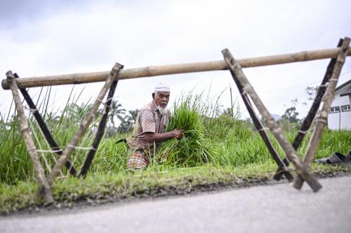 TRADISI LAMA MENCERUT RUMPUT