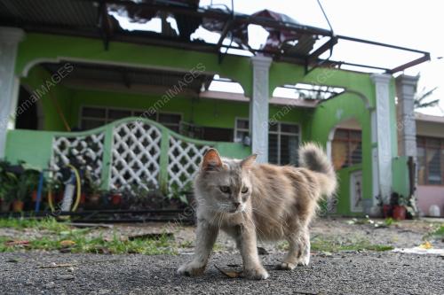 RUMAH ROSAK AKIBAT RIBUT