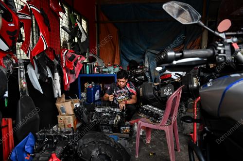 BUDAK KERBAU