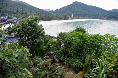 TR06_11082021_REDANG_SAYUR