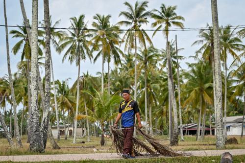 PERSIAPAN MUSIM TENGKUJUH