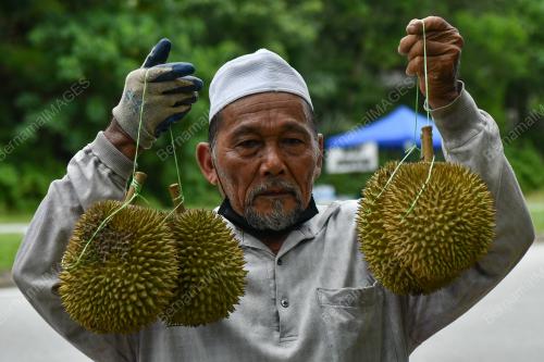 RAJA BUAH TERENGGANU