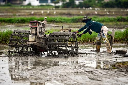 TINJAUAN AKTIVITI PESAWAH