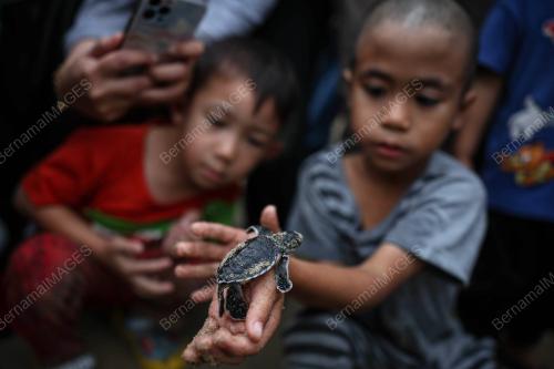ANAK PENYU